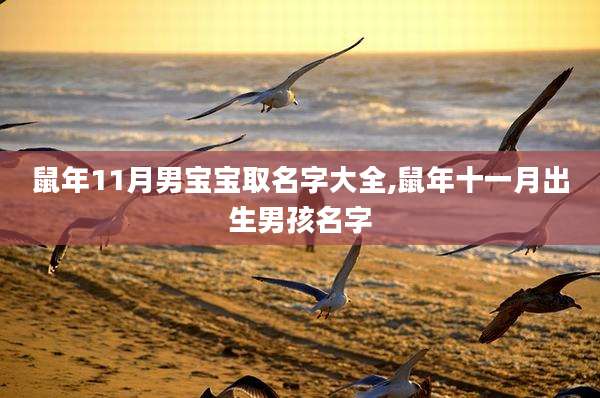 鼠年11月男宝宝取名字大全,鼠年十一月出生男孩名字