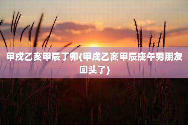 甲戌乙亥甲辰丁卯(甲戌乙亥甲辰庚午男朋友回头了)