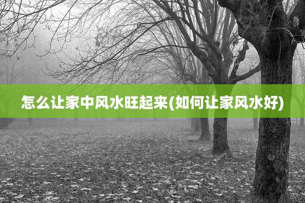 怎么让家中风水旺起来(如何让家风水好)