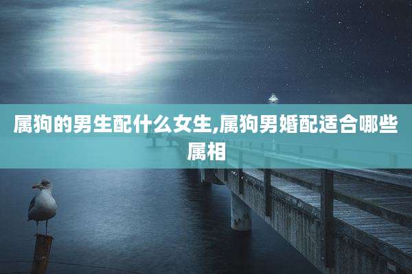 属狗的男生配什么女生,属狗男婚配适合哪些属相