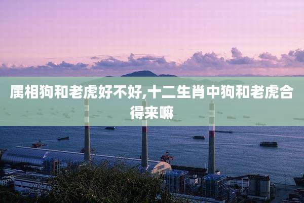 属相狗和老虎好不好,十二生肖中狗和老虎合得来嘛