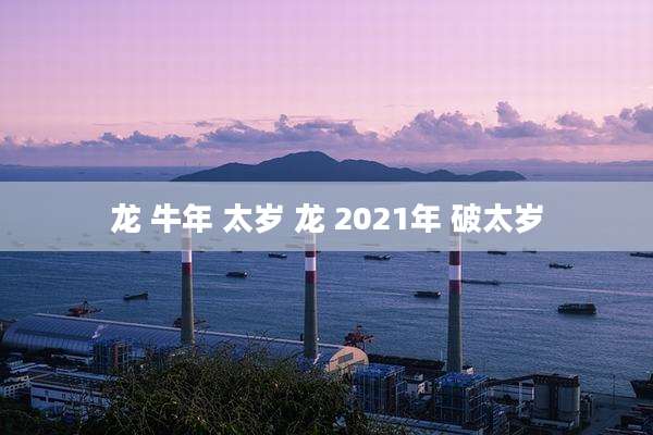 龙 牛年 太岁 龙 2021年 破太岁