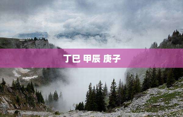丁巳 甲辰 庚子