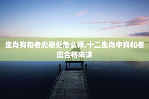 生肖狗和老虎相处怎么样,十二生肖中狗和老虎合得来嘛