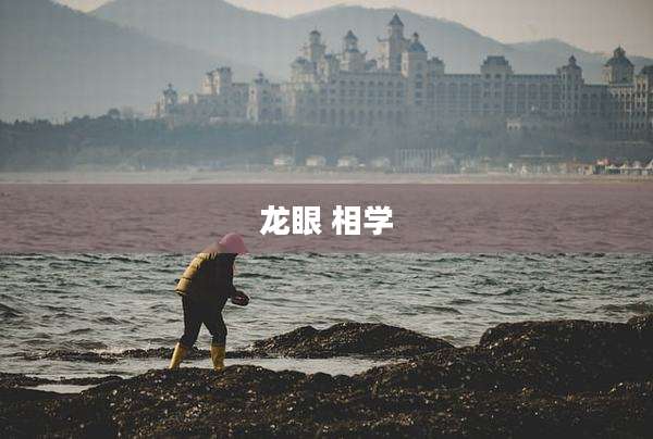 龙眼 相学