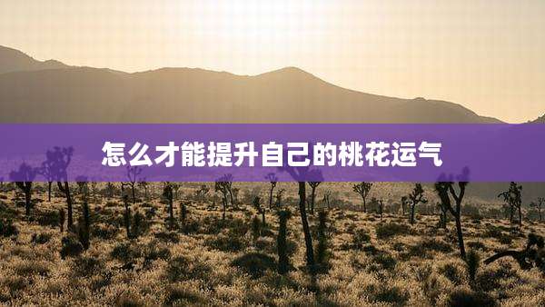 怎么才能提升自己的桃花运气