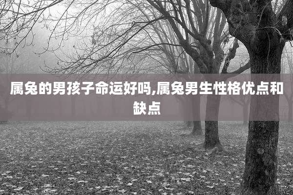属兔的男孩子命运好吗,属兔男生性格优点和缺点