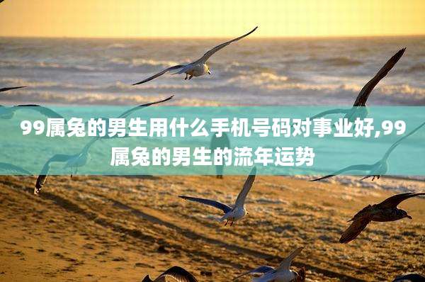 99属兔的男生用什么手机号码对事业好,99属兔的男生的流年运势