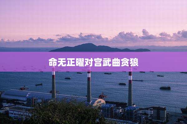 命无正曜对宫武曲贪狼