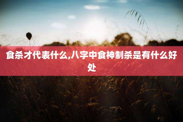 食杀才代表什么,八字中食神制杀是有什么好处