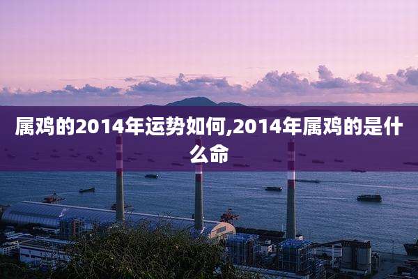 属鸡的2014年运势如何,2014年属鸡的是什么命