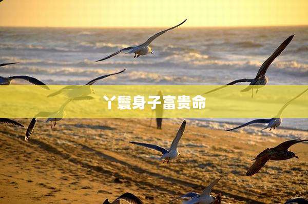 丫鬟身子富贵命