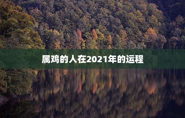 属鸡的人在2021年的运程