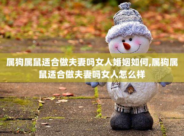 属狗属鼠适合做夫妻吗女人婚姻如何,属狗属鼠适合做夫妻吗女人怎么样