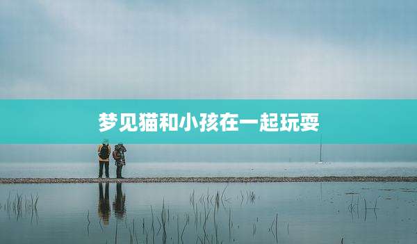 梦见猫和小孩在一起玩耍