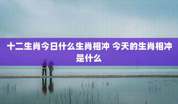 十二生肖今日什么生肖相冲 今天的生肖相冲是什么