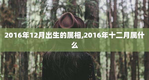 2016年12月出生的属相,2016年十二月属什么