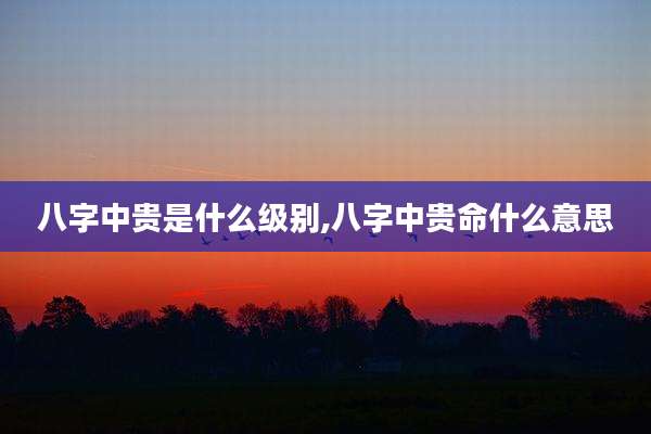 八字中贵是什么级别,八字中贵命什么意思