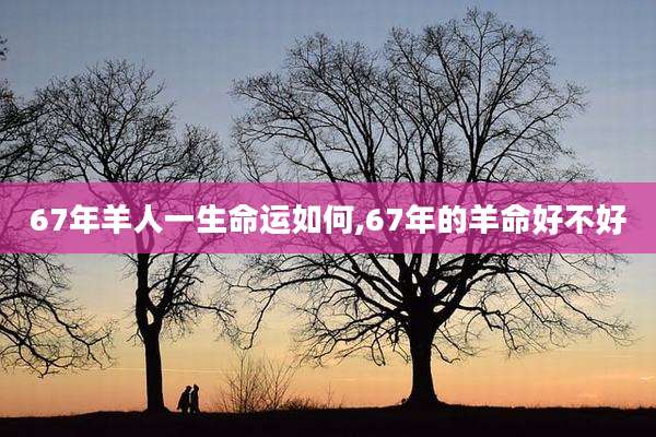 67年羊人一生命运如何,67年的羊命好不好