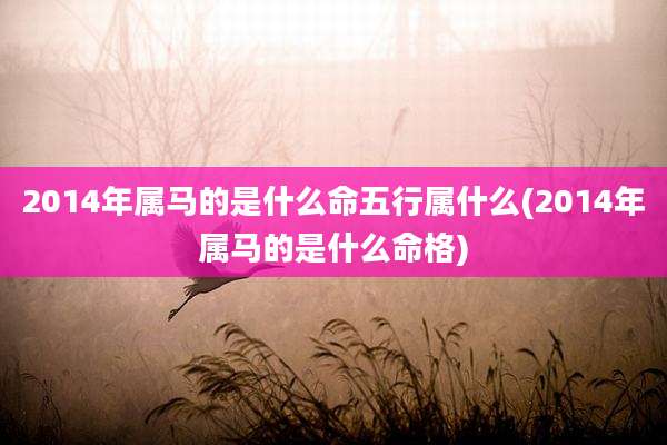 2014年属马的是什么命五行属什么(2014年属马的是什么命格)