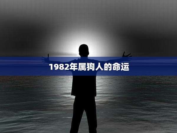 1982年属狗人的命运