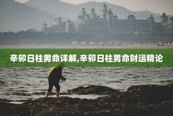 辛卯日柱男命详解,辛卯日柱男命财运精论