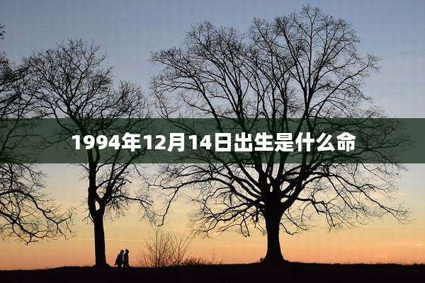 1994年12月14日出生是什么命