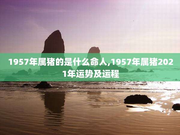 1957年属猪的是什么命人,1957年属猪2021年运势及运程