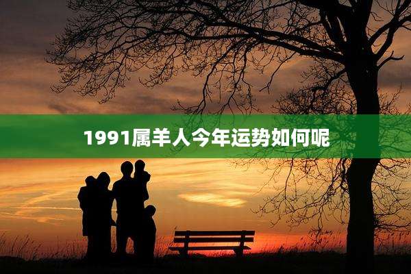 1991属羊人今年运势如何呢