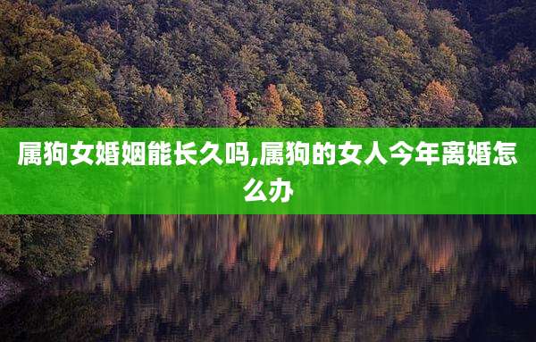 属狗女婚姻能长久吗,属狗的女人今年离婚怎么办