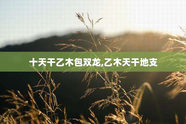 十天干乙木包双龙,乙木天干地支