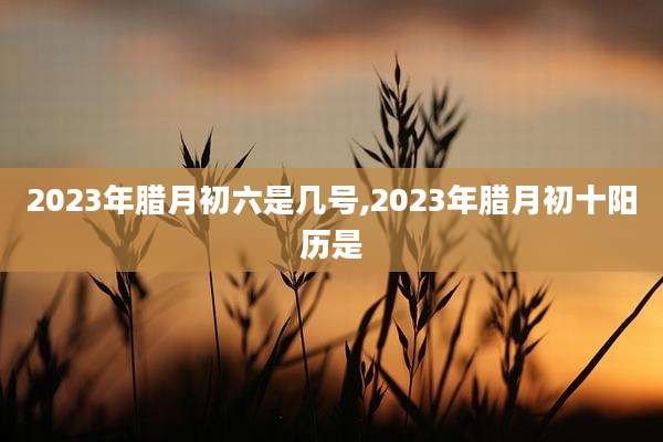 2023年腊月初六是几号,2023年腊月初十阳历是