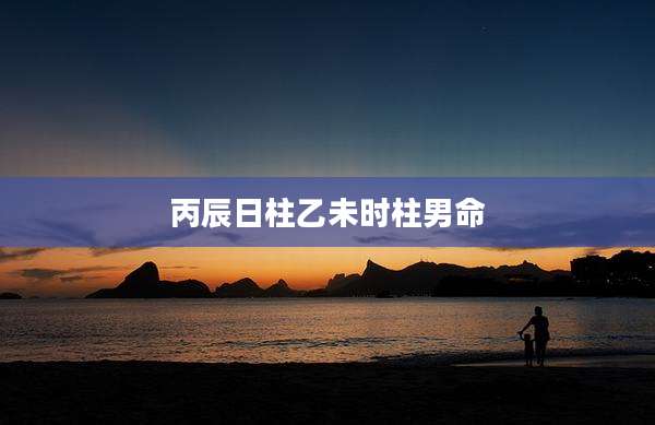 丙辰日柱乙未时柱男命