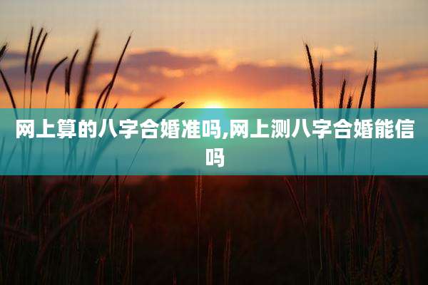 网上算的八字合婚准吗,网上测八字合婚能信吗