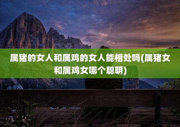 属猪的女人和属鸡的女人能相处吗(属猪女和属鸡女哪个聪明)