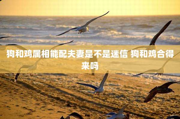 狗和鸡属相能配夫妻是不是迷信 狗和鸡合得来吗