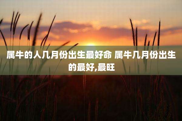 属牛的人几月份出生最好命 属牛几月份出生的最好,最旺