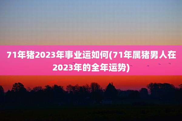 71年猪2023年事业运如何(71年属猪男人在2023年的全年运势)