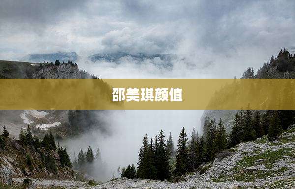 邵美琪颜值