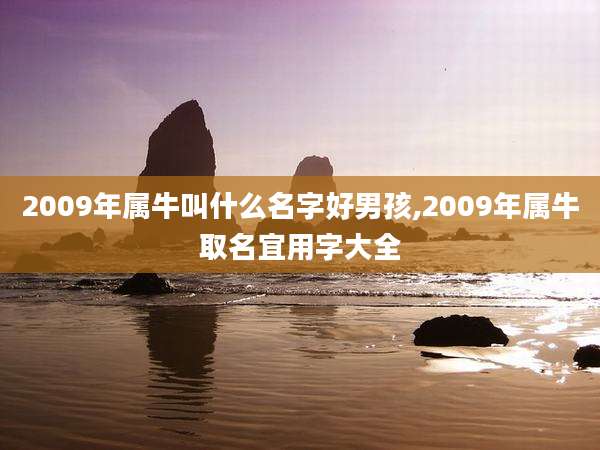 2009年属牛叫什么名字好男孩,2009年属牛取名宜用字大全