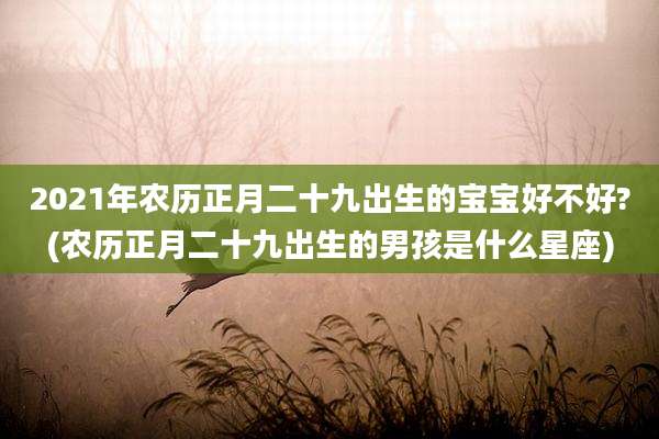 2021年农历正月二十九出生的宝宝好不好?(农历正月二十九出生的男孩是什么星座)