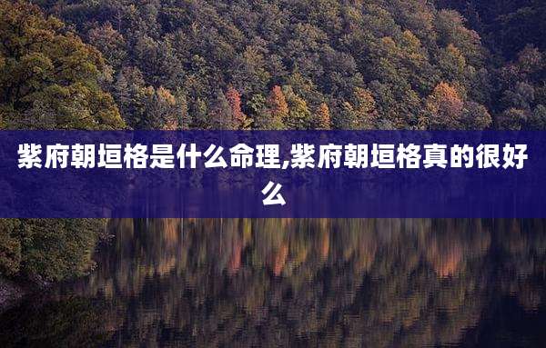 紫府朝垣格是什么命理,紫府朝垣格真的很好么