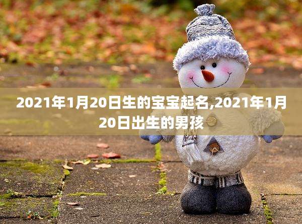 2021年1月20日生的宝宝起名,2021年1月20日出生的男孩