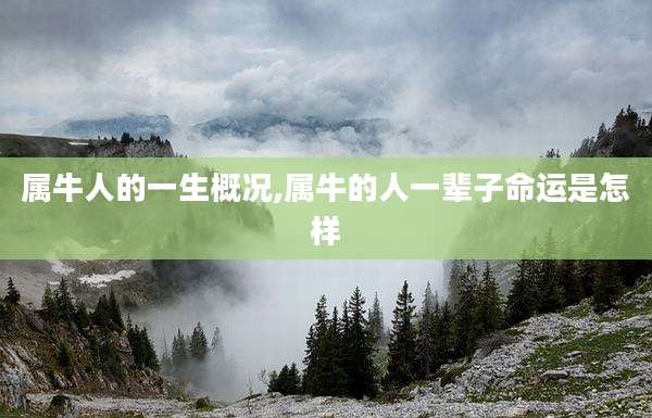 属牛人的一生概况,属牛的人一辈子命运是怎样