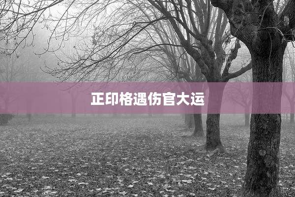 正印格遇伤官大运