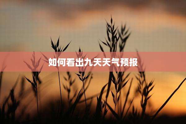 如何看出九天天气预报