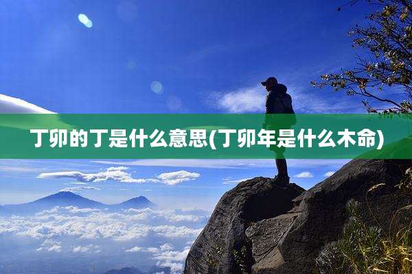 丁卯的丁是什么意思(丁卯年是什么木命)