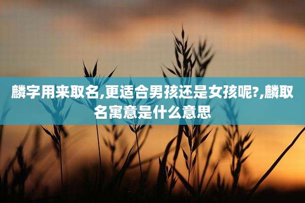 麟字用来取名,更适合男孩还是女孩呢?,麟取名寓意是什么意思