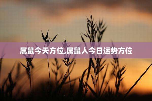 属鼠今天方位,属鼠人今日运势方位