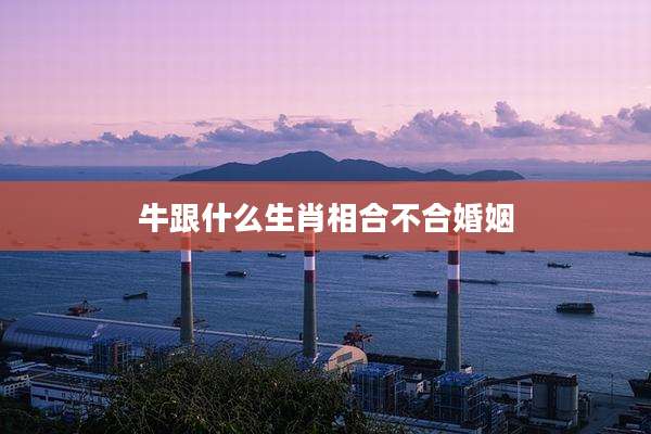 牛跟什么生肖相合不合婚姻